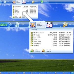 Saflink