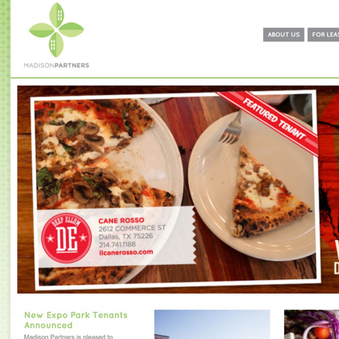 Madison Partners Website